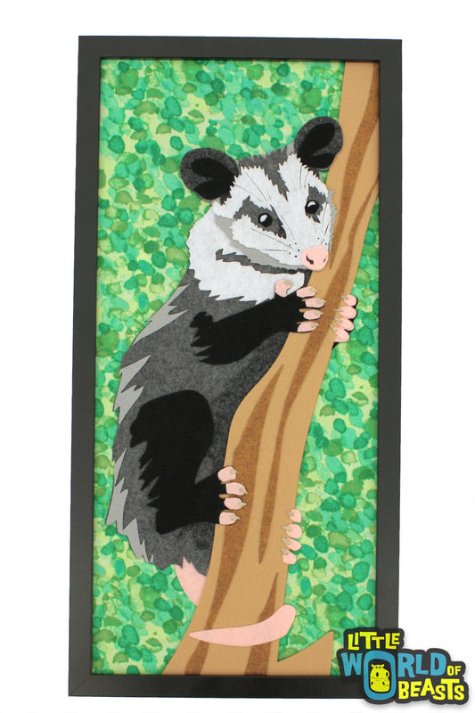 Opossum - Portrait